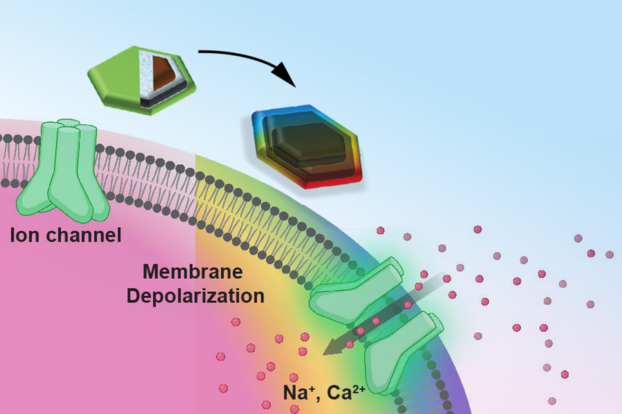 Magnetoelectric nanodiscs enable wireless transgene-free neuromodulation